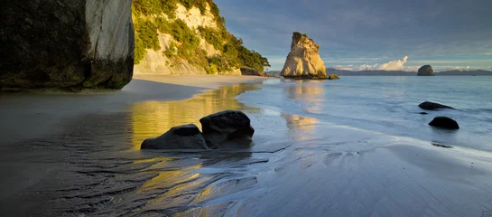 Plexiglas foto achterwand Cathedral Cove, Hahei, Coromadel Peninsula, Waikato, Nordinsel, Neuseeland © Rainer Mirau