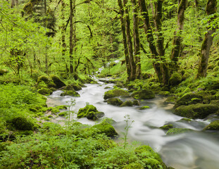 Fluss Le Dessoubre, Cirque de la Consolation, Doubs, Frankreich