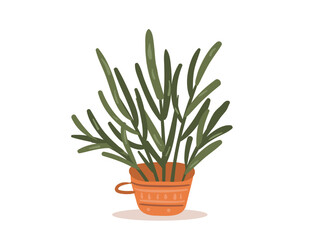 Flat hand drawn houseplant in a cute boho pot