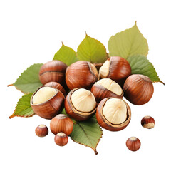 close-up Hazelnuts with leaves cut out, isolated on white background