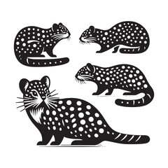 Quoll Vector Silhouette: A Striking Silhouette Embarking on Nature's Journey in Vector Form, Quoll Illustration.