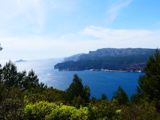 Fototapeta na wymiar Paysage naturel de mer et verdure en Côte d'Azur