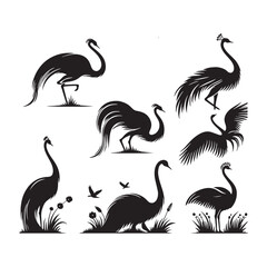 Rhea Vector Silhouette: A Majestic Silhouette Encompassing the Grace of South American Wilderness in Vector Form, Rhea Black Illustration.