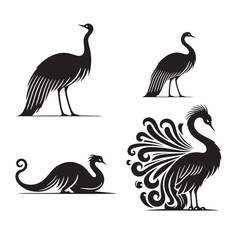 Rhea Vector Silhouette: A Majestic Silhouette Encompassing the Grace of South American Wilderness in Vector Form, Rhea Black Illustration.