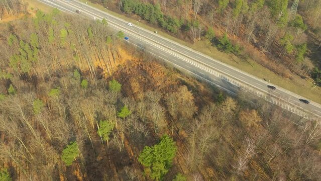 An aerial view captures the S6 road near Gdynia, Poland, as it cuts through a forested landscape, with the transition of seasons evident in the mix of evergreen and autumn-colored deciduous trees.