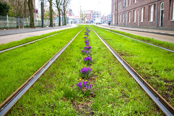 Tram rails in perspective with grass around on Sarphatistraat in Amsterdam in winter