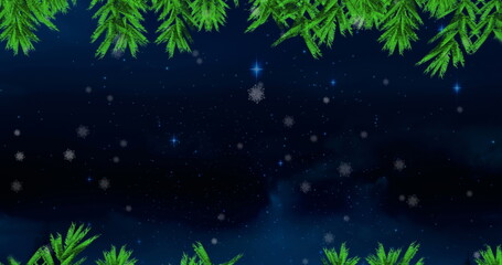 Green tree branches and snow falling against blue shining stars in night sky