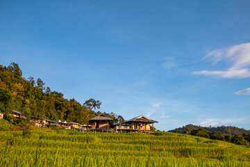 Terraced rice fields, good atmosphere - 757929666