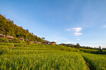 Terraced rice fields, good atmosphere - 757929674