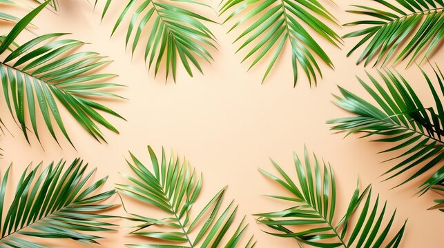 pink background with green large palm tree branches
