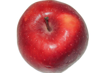 Red apple tree isolated on white background