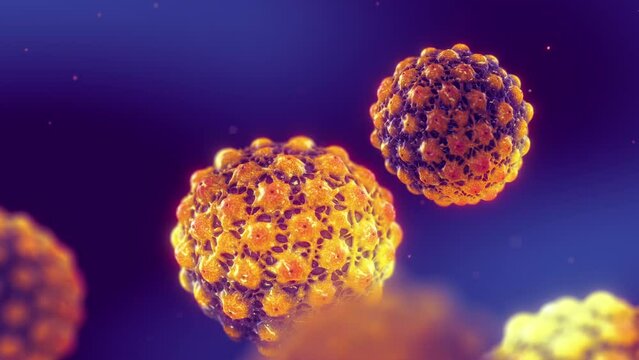 Human papillomavirus (HPV) is a common sexually transmitted infection. Some strains of HPV can cause genital warts, others cancer. Cancers from HPV can be prevented with vaccines