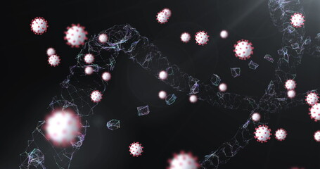 Image of 3d DNA strand spinning with Covid 19 coronavirus cells floating on black background