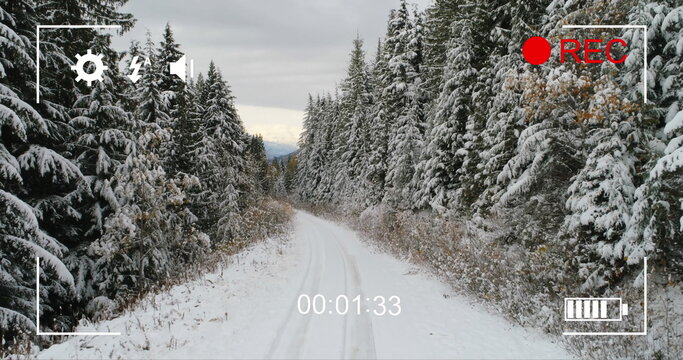 Fototapeta Digital camera records snowy forest scene in 4k with on-screen icons and timer.