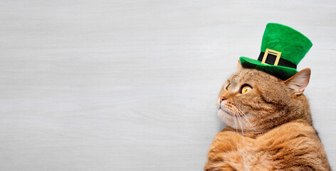 Ginger cat in a green hat with copy space. St.Patrick 's Day.