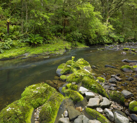Catlins River, Southland, Südinsel, Neuseeland