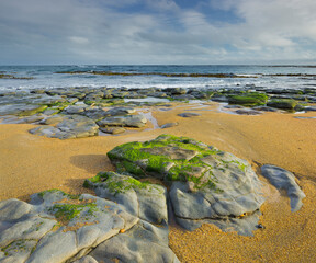 Waipapa Küste, Catlins, Southland, Südinsel, Neuseeland