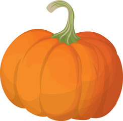 pumpkin illustration isolated on transparent  background