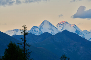 Belukha Mountain.
Belukha Mountain is the highest peak of the Altai Mountains. View of snow-capped peaks in the sunset light.  Katon-Karagay National Park. Kazakhstan.
