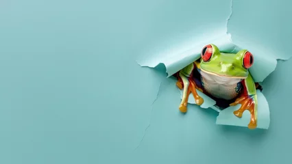 Foto op Canvas A green frog seems to humorously emerge, adding a playful touch to the simple blue backdrop © Fxquadro