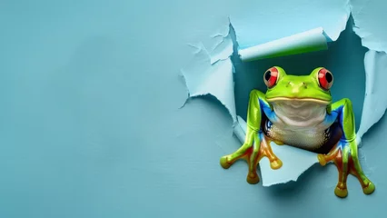 Fotobehang A vibrant green frog with striking red eyes emerges from a tear in a blue paper, symbolizing surprise and discovery © Fxquadro
