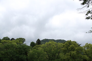 瑠璃光寺　山口県山口市観光　修繕工事中五重塔  japan yamaguchi  貴重　レア