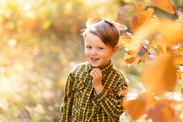 Autumn portrait of a little fair-haired smiling boy in a yellow shirt in the park