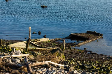 Foto op Canvas visuale dettagliata di una vecchia e rotta piccola barca di legno, abbandonata e semi-sommersa dall'acqua, lungo le rive di un fiume, nel nord est Italia, illuminata dal sole, di pomeriggio © PhotoMet