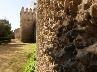 11th century fortified wall of Seville with a tower in the background, and showing the stones in...