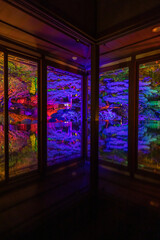 日本　滋賀県大津市にあるカラフルにライトアップされた旧竹林院の日本庭園 - obrazy, fototapety, plakaty
