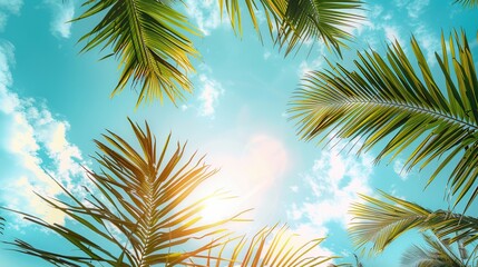 Fototapeta na wymiar Looking skyward through the fronds of towering palm trees against a clear blue sky, this image offers a fresh perspective and sense of freedom, with ample space for text in the sky.