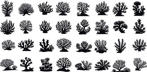 Black coral silhouette. diverse coral species vector illustration, detailed coral in marine life illustrations isolated on white, perfect for educational content and ocean themed designs - obrazy, fototapety, plakaty