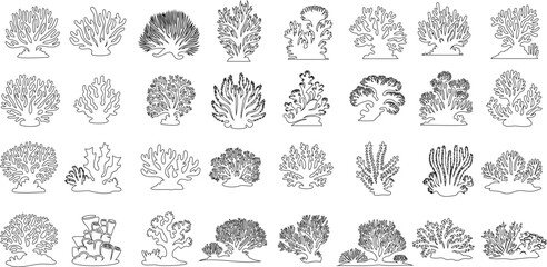 coral reef line art vector illustration, diverse coral reef outlines, showcasing underwater marine life and ecosystem. Ideal for educational, environmental, and scientific use