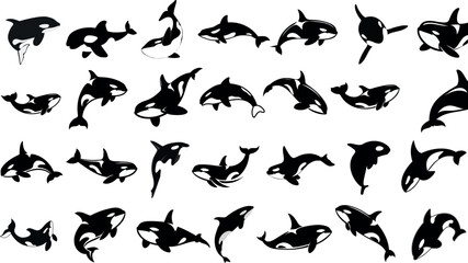 Dynamic orca silhouette, black orca vector shapes isolated on white, depicting marine life in action, perfect orca set for ocean themed artwork, educational materials, and graphic design