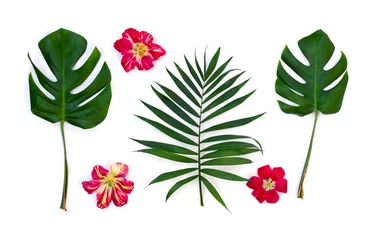  Tropical leaves palm tree and monstera with red yellow flowers on a white background with space for text. Top view, flat lay © Anastasiia Malinich