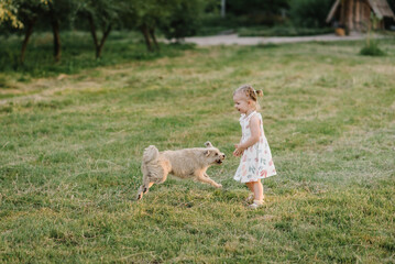 Child play with dog in nature. Kid playing with a dog on green grass in summer time. Little happy girl walking with a dog in field at sunset. Childhood and development. Family day on spring vacation.