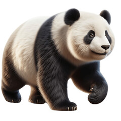 Obraz premium Majestic Panda PNG: Regal Image of Magnificent Giant Panda Bear - Panda PNG Image, Panda Transparent Background - Panda PNG 