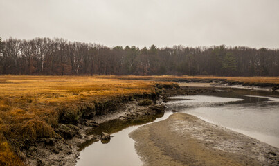 Marsh in Massachusetts