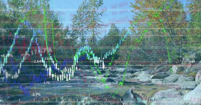 Fototapeta Image of multiple graphs over stream in forest against clear sky
