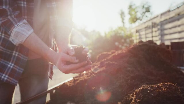 Unrecognizable gardener checking the soil quality . Shot with RED helium camera in 8K. 