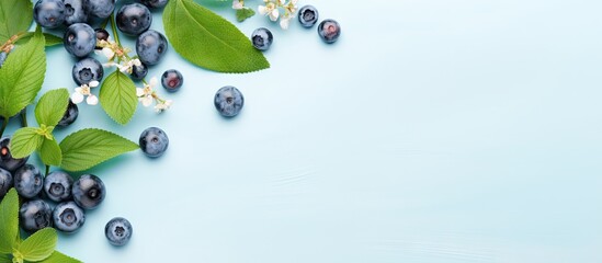 Fresh Blueberries with Vibrant Leaves on a Soft Blue Background - Healthy Eating Concept