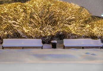 Benches under the snow in the park on a winter evening.