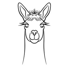 Fototapeta premium Wildlife wild animal symbol icon for logo - Black fine line art silhouette of alpaca head portrait, isolated on white background