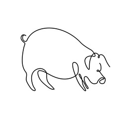 illustration of a cartoon pig