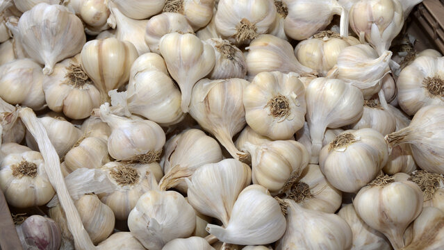 Garlic, Vegetables, Food image