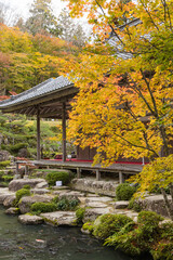 日本　滋賀県東近江市にある湖東三山の一つ、百済寺の本坊喜見院と本坊庭園の紅葉