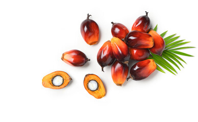 Top view of Palm oil nuts with cut in half and leaves  isolate on white background.