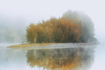 Islet in the middle of a river with trees in the autumn mist with beautiful warm colors, the mist...