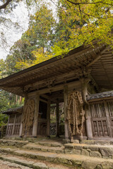 Fototapeta na wymiar 日本　滋賀県東近江市にある湖東三山の一つ、百済寺の仁王門と紅葉