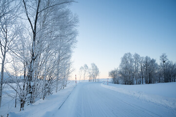 Fototapeta premium 冬の北海道美瑛町の風景